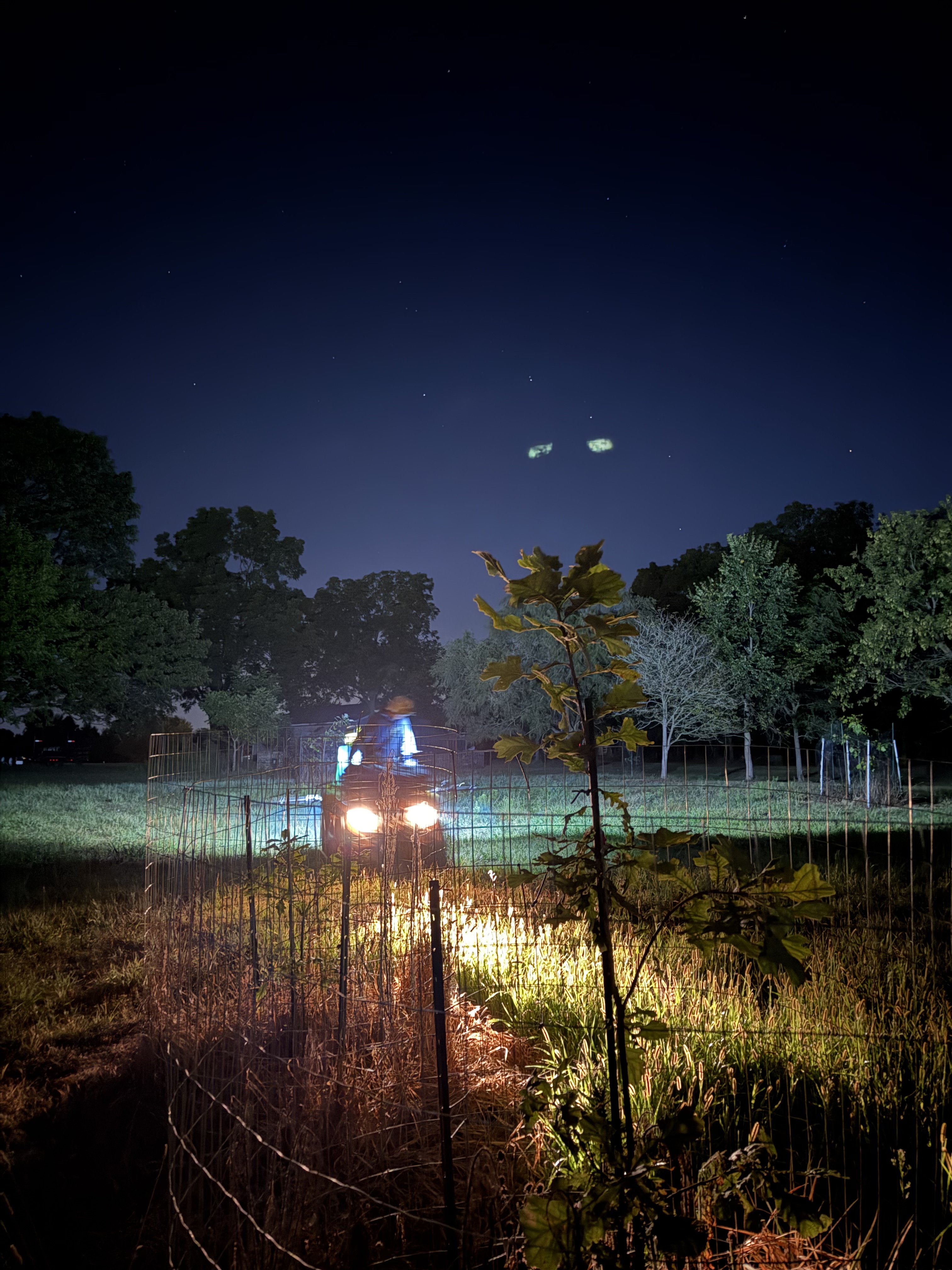 Ecological restoration landscape