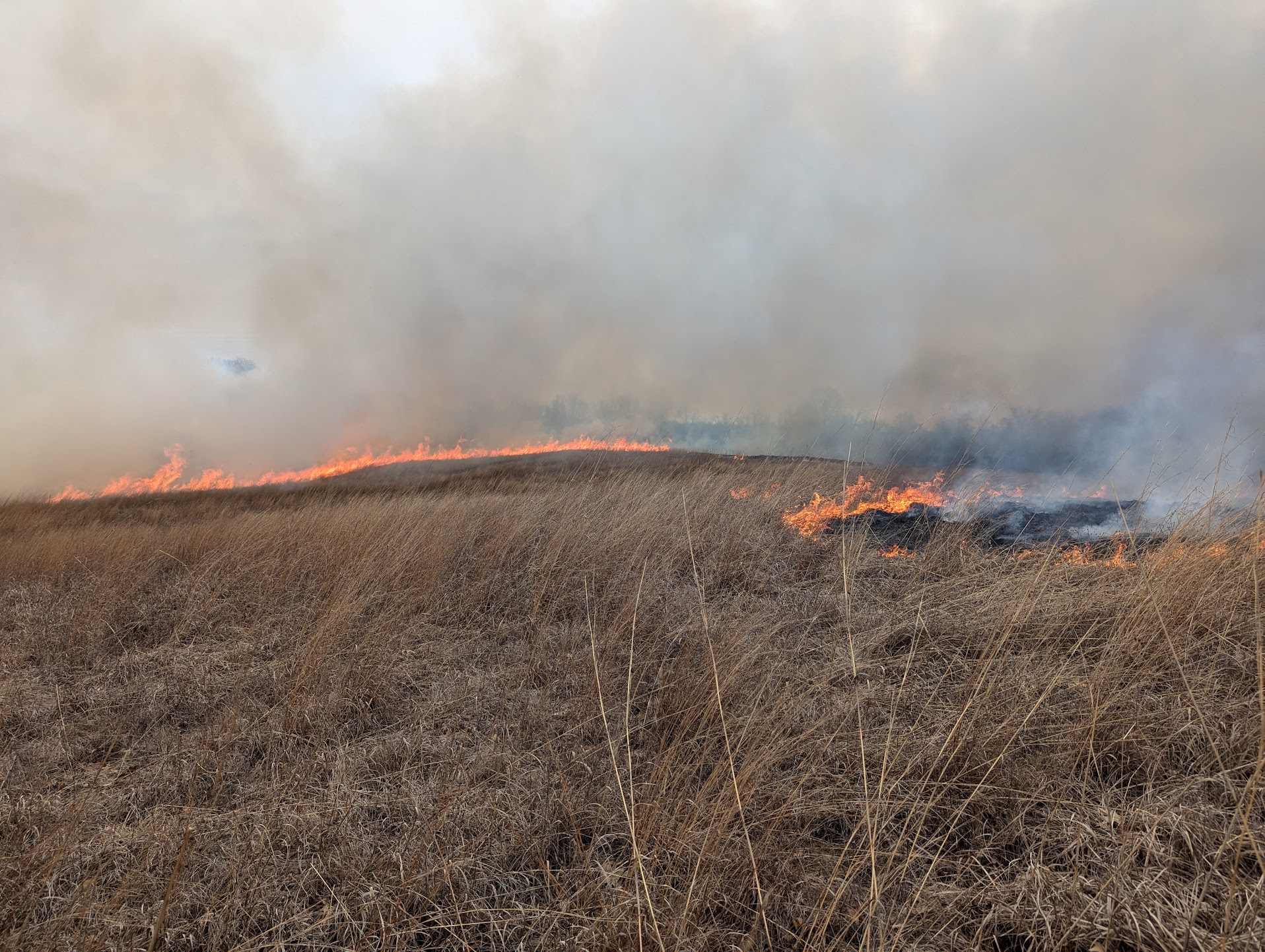 Prescribed fire landscape