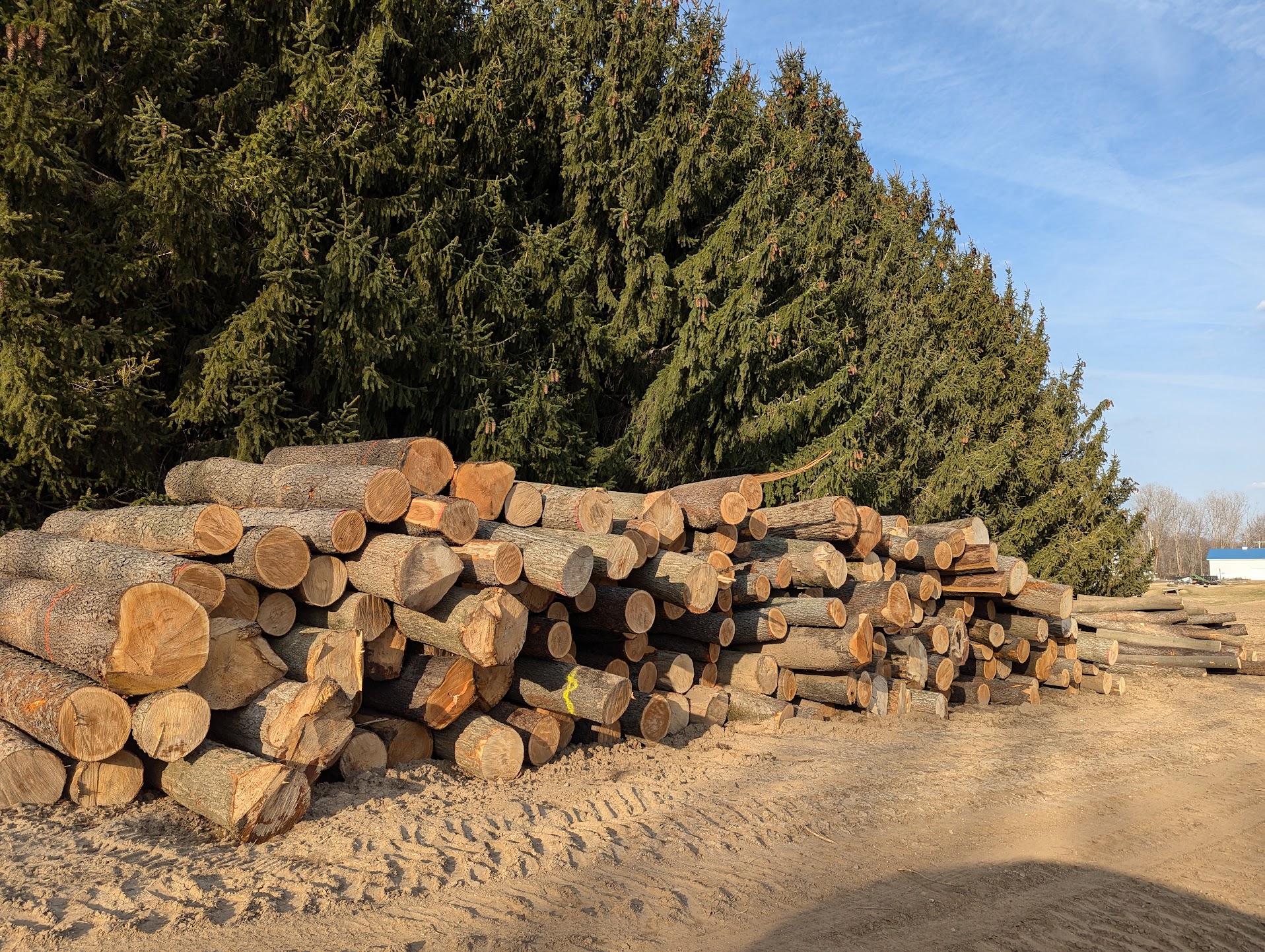 Timber sales landscape